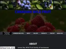 Sites similar to wildblueberries.net