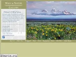 Sites similar to wildbynatureshop.com