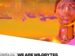 Sites similar to wildbytes.cc