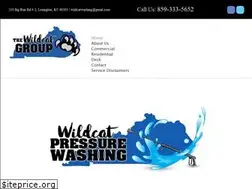 Sites similar to wildcatwashing.com