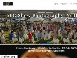 Sites similar to wildcoyotestudio.com