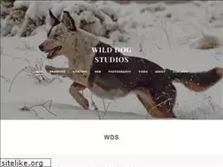 Sites similar to wilddogstudios.com