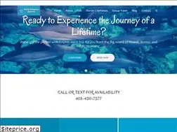Sites similar to wilddolphinswimshawaii.com
