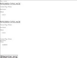 Sites similar to wildercollage.com