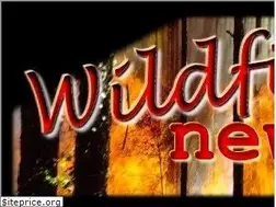 Sites similar to wildfirenews.com