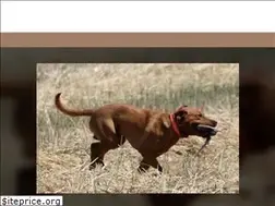 Sites similar to wildfireretrievers.net