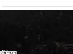 Sites similar to wildflowerevergreen.com