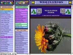 Sites similar to wildflowerfinder.org.uk