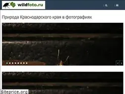 Sites similar to wildfoto.ru