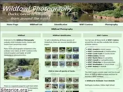 Sites similar to wildfowl-photography.co.uk