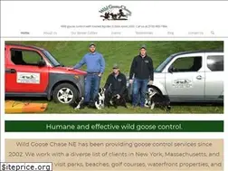 Sites similar to wildgoosechasene.com
