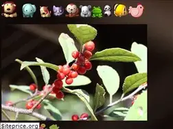 Sites similar to wildgrass28.jp