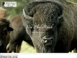 Sites similar to wildhoof.com