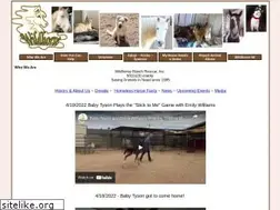 Sites similar to wildhorseranchrescue.com