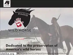 Sites similar to wildhorserescuecenter.org
