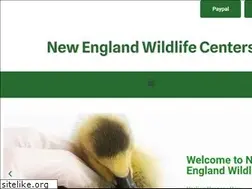 Sites similar to wildlife-education-center.com