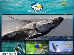 Sites similar to wildlifeconnection.com