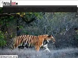 Sites similar to wildlifedestination.com