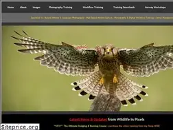 Sites similar to wildlifeinpixels.net