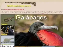 Sites similar to wildlifelands.com