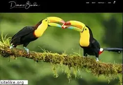 Sites similar to wildlifepics.eu