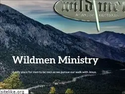 Sites similar to wildmenministry.com