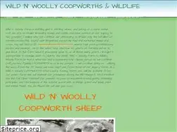 Sites similar to wildnwoolly.com
