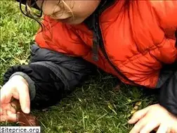 Sites similar to wildpearpreschool.org