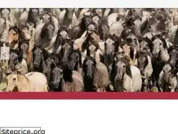 Sites similar to wildpferde.de