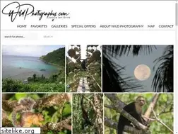 Sites similar to wildphotography.com