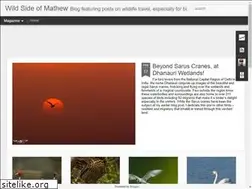 Sites similar to wildsideofmathew.com