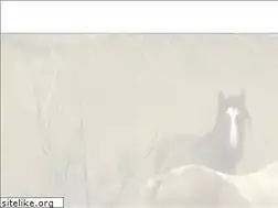 Sites similar to wildsidetv.com