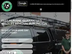 Sites similar to wildsidewildliferemoval.ca