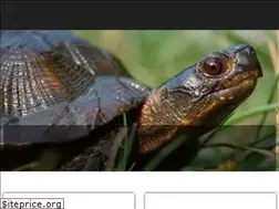 Sites similar to wildspecies.ca
