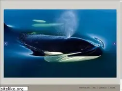 Sites similar to wildthingsphotography.com