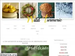 Sites similar to wildturmeric.net