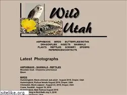 Sites similar to wildutah.us