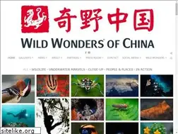 Sites similar to wildwondersofchina.com