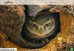 Sites similar to wildworldindia.com