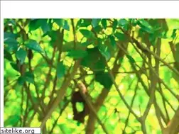 Sites similar to willebadessen.de