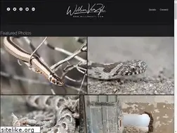Sites similar to willemvzyl.com