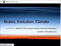 Sites similar to williamcalvin.org