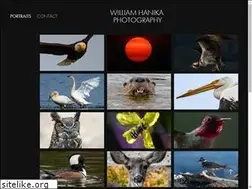 Sites similar to williamhanika.com