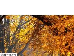Sites similar to williamsauction.com