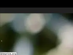 Sites similar to williamsburgchauffeur.com