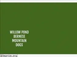 Sites similar to willowpondbernese.com