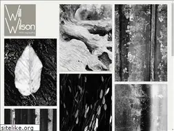Sites similar to willwilson.com
