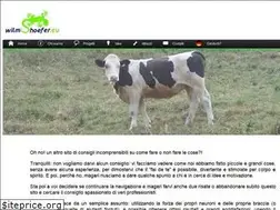 Sites similar to wilmshoefer.eu