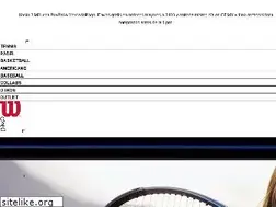 Sites similar to wilsonsports.com.mx