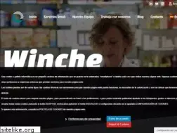 Sites similar to winche.com